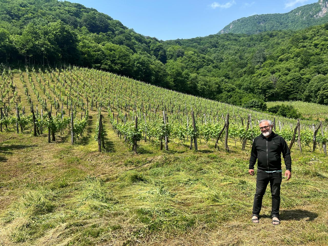 Der rundliche, kleine Weinbauer Paata steht in Georgien vor einem seiner Weinberge. Die Sonne strahlt. Er trägt schwarze Kleidung.