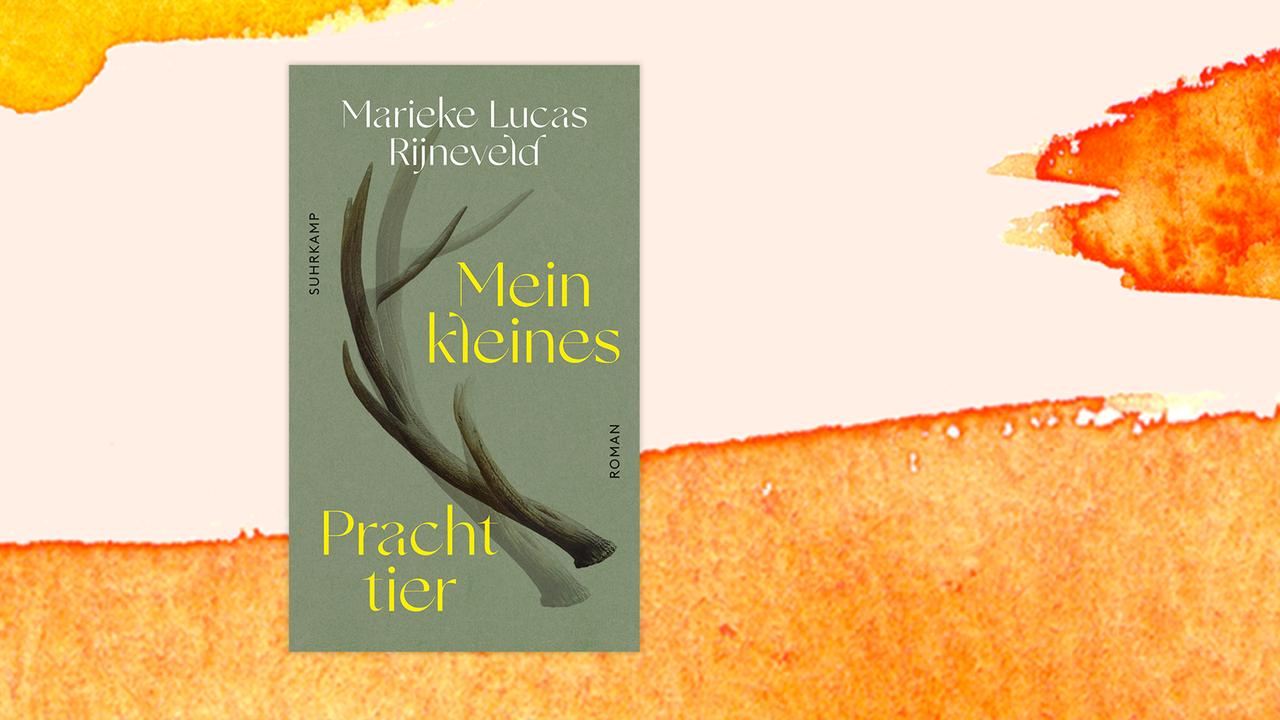 Buchcover zu Marieke Lucas Rijnevelds "Mein kleines Prachttier".