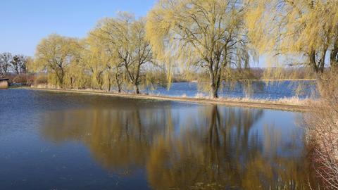 Eine Wiese wurde von Regenwasser überschwemmt.