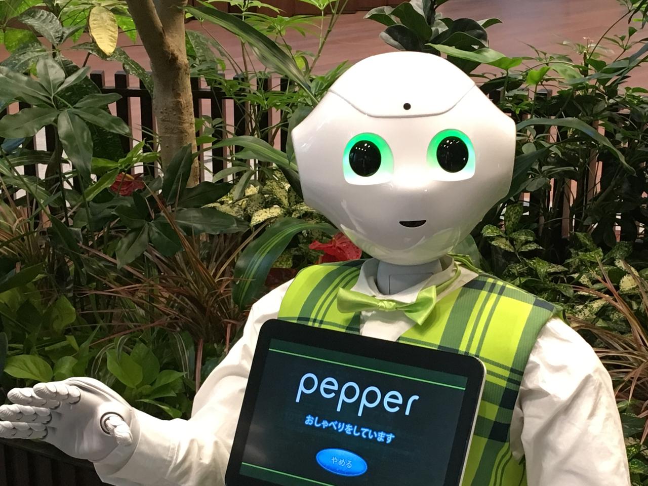Mit seinen tiefschwarzen Androidenaugen erkennt Pepper Gesichter und grundlegende menschliche Emotionen.