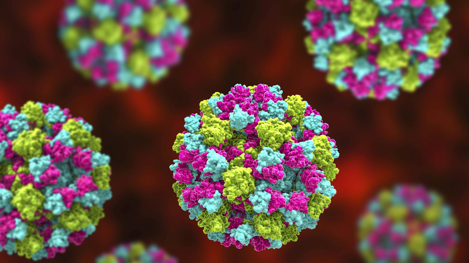 Eine Illustration des Norovirus, dargestellt als farbige Kugeln.