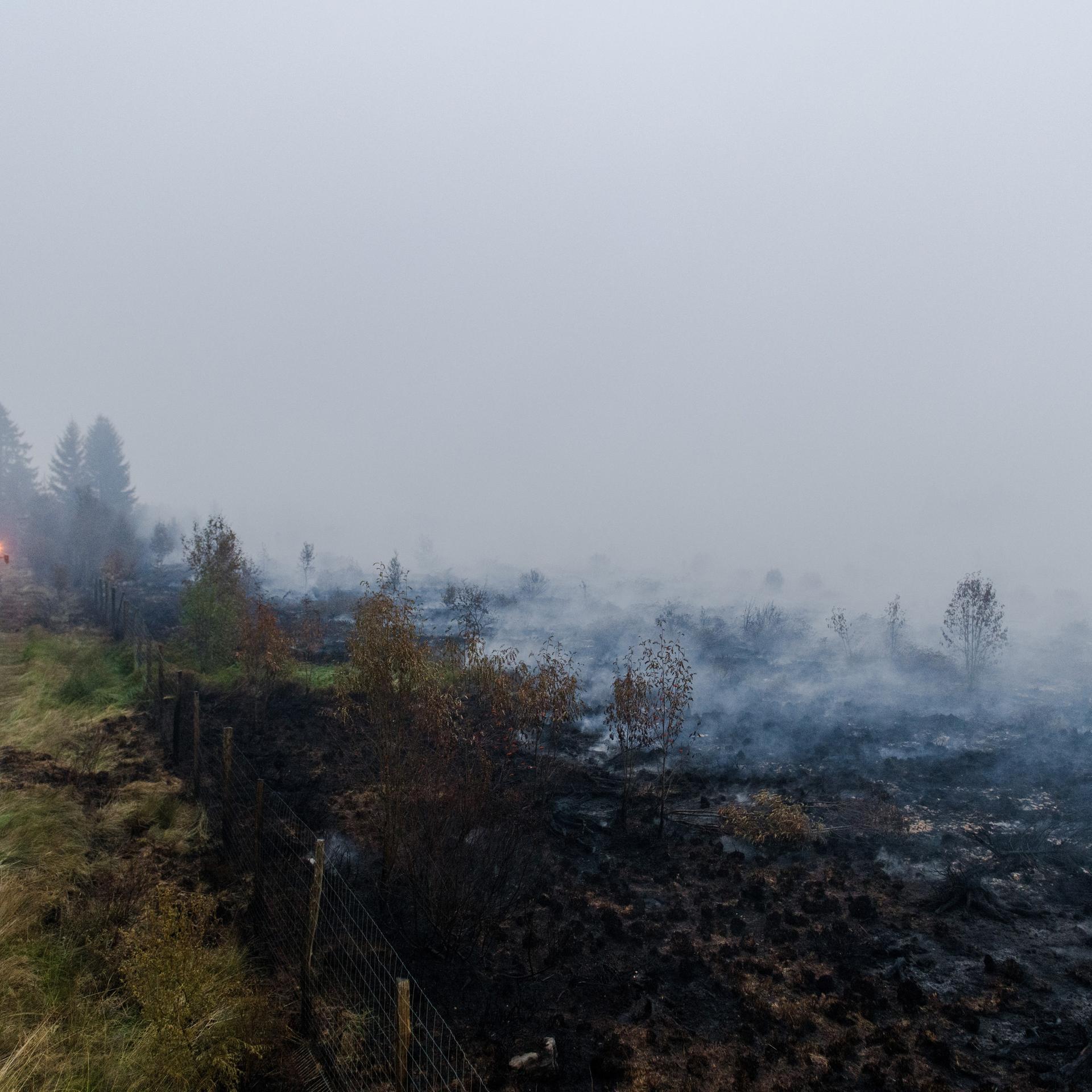 Sourbrodt: Landwirte setzen ihre Maschinen ein, um die Feuerwehrleute im Naturschutzgebiet Hohes Venn weiter gegen einen der größten Waldbrände der belgischen Geschichte zu unterstützen. 