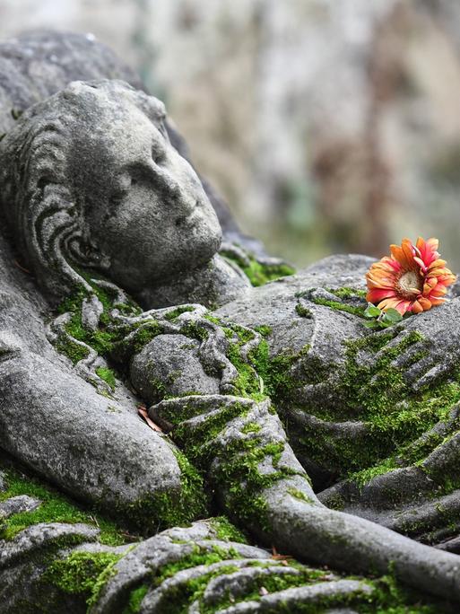 Mit Moos bewachsenes Steinrelief auf einem Grabmal zeigt eine schlafende junge Frau. Auf der Brust der Figur und neben ihr liegen frische Blumen.