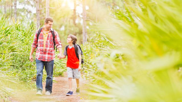 Vater und Sohn wandern im sonnigen Wald