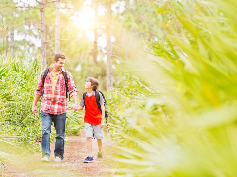 Vater und Sohn wandern im sonnigen Wald