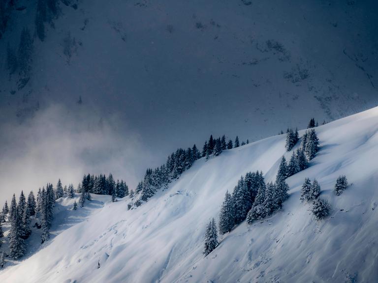 Verschneite Winterlandschaft mit Nebel im Kleinwalsertal, Österreich