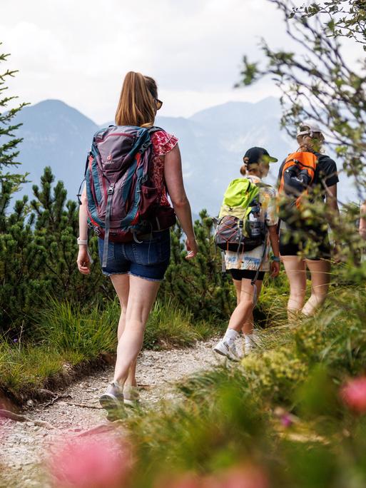 Ausflügler gehen am 27.07.2024 über einen Wanderweg in der Nähe des Gipfels des Herzogstands bei Urfeld in den bayerischen Voralpen.