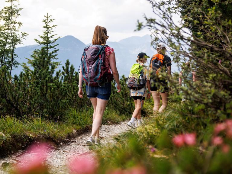 Ausflügler gehen am 27.07.2024 über einen Wanderweg in der Nähe des Gipfels des Herzogstands bei Urfeld in den bayerischen Voralpen.