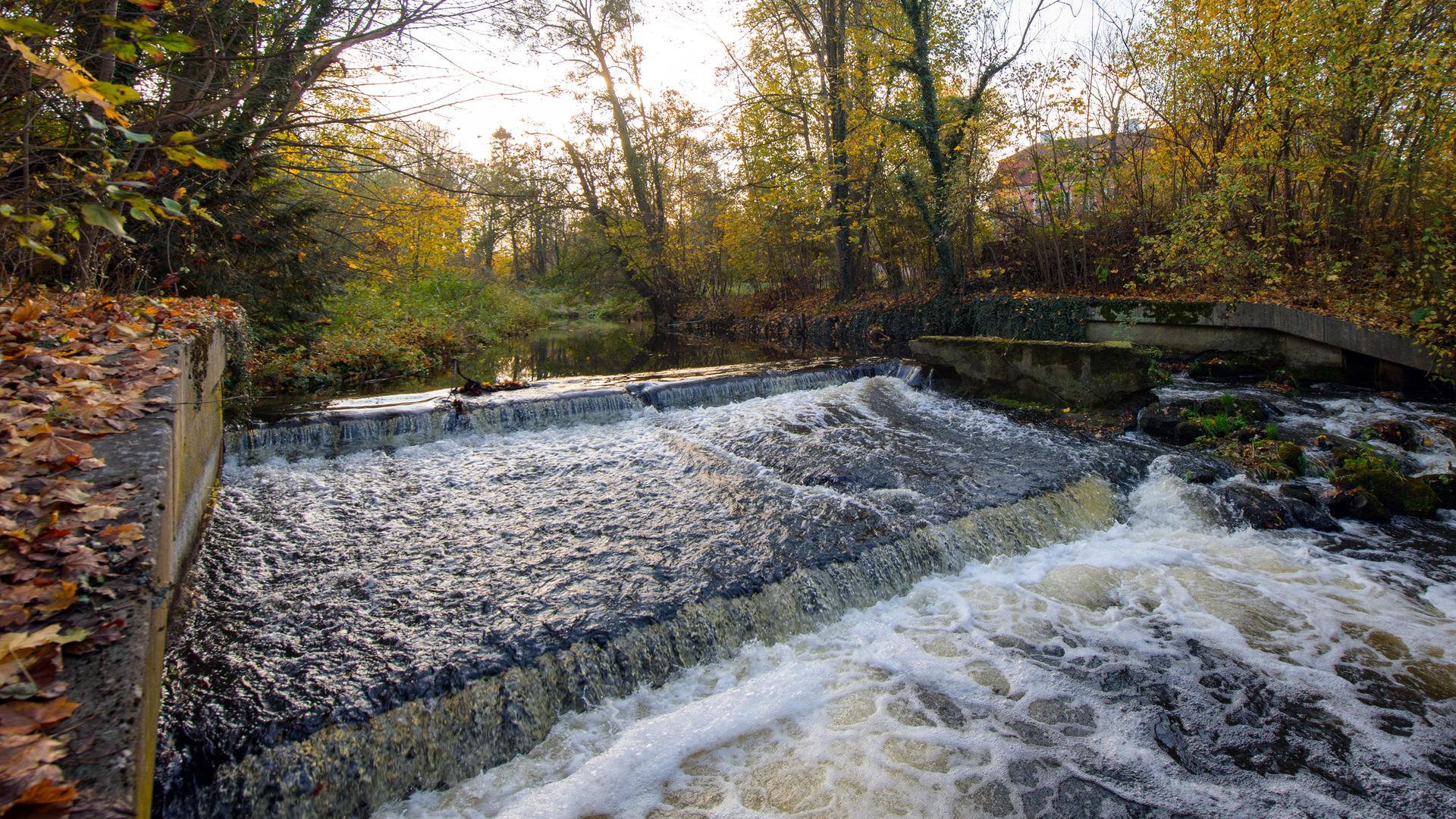 Zu sehen ist ein Abschnitt des Flusses Stepenitz in Brandenburg. Zu sehen ist ein Abschnitt des Flusses Stepenitz in Brandenburg.