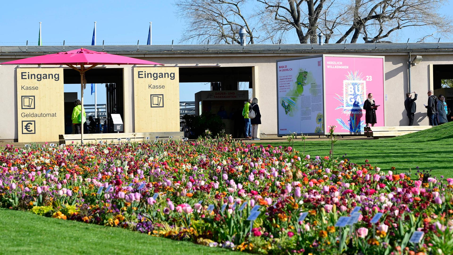 Das Bundesgartenschau-Gelände in Mannheim im Spinelli Park. Man sieht den Eingang mit Kassen, davor ein großes, buntes Tulpenfeld.