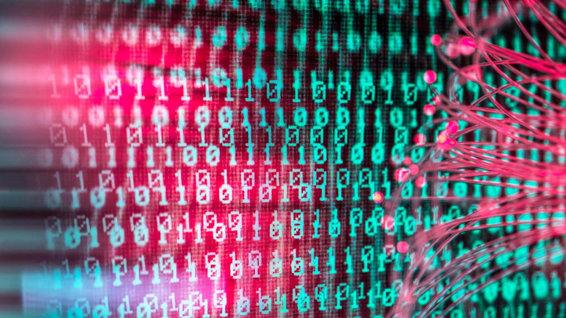 Rosa leuchtendes Glasfaserkabel zeigt auf binären Computercode Rosa leuchtendes Glasfaserkabel zeigt auf binären Computercode