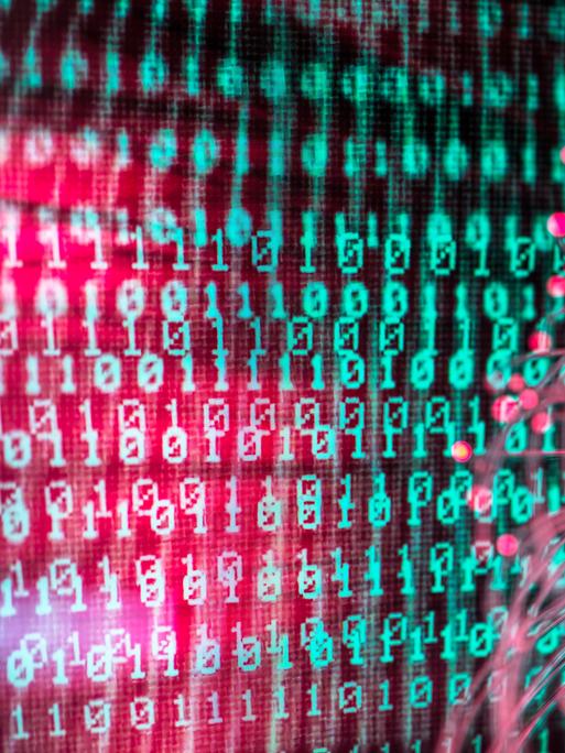 Rosa leuchtendes Glasfaserkabel zeigt auf binären Computercode