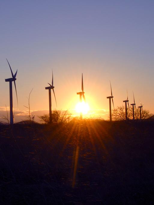 Die Windräder des Windparks "La Venta" in Oaxaca, Mexico beim Sonnenuntergang