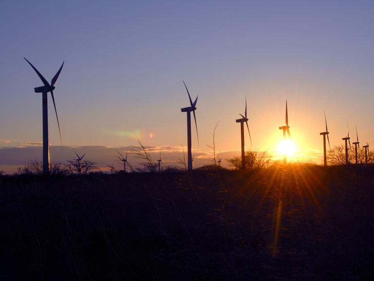 Die Windräder des Windparks "La Venta" in Oaxaca, Mexico beim Sonnenuntergang