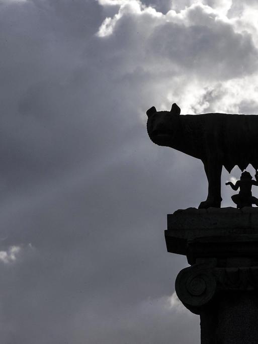 Die kapitolinische Wölfin säugt die Knaben Romulus und Remus: Statue auf dem Kapitolsplatz in Rom