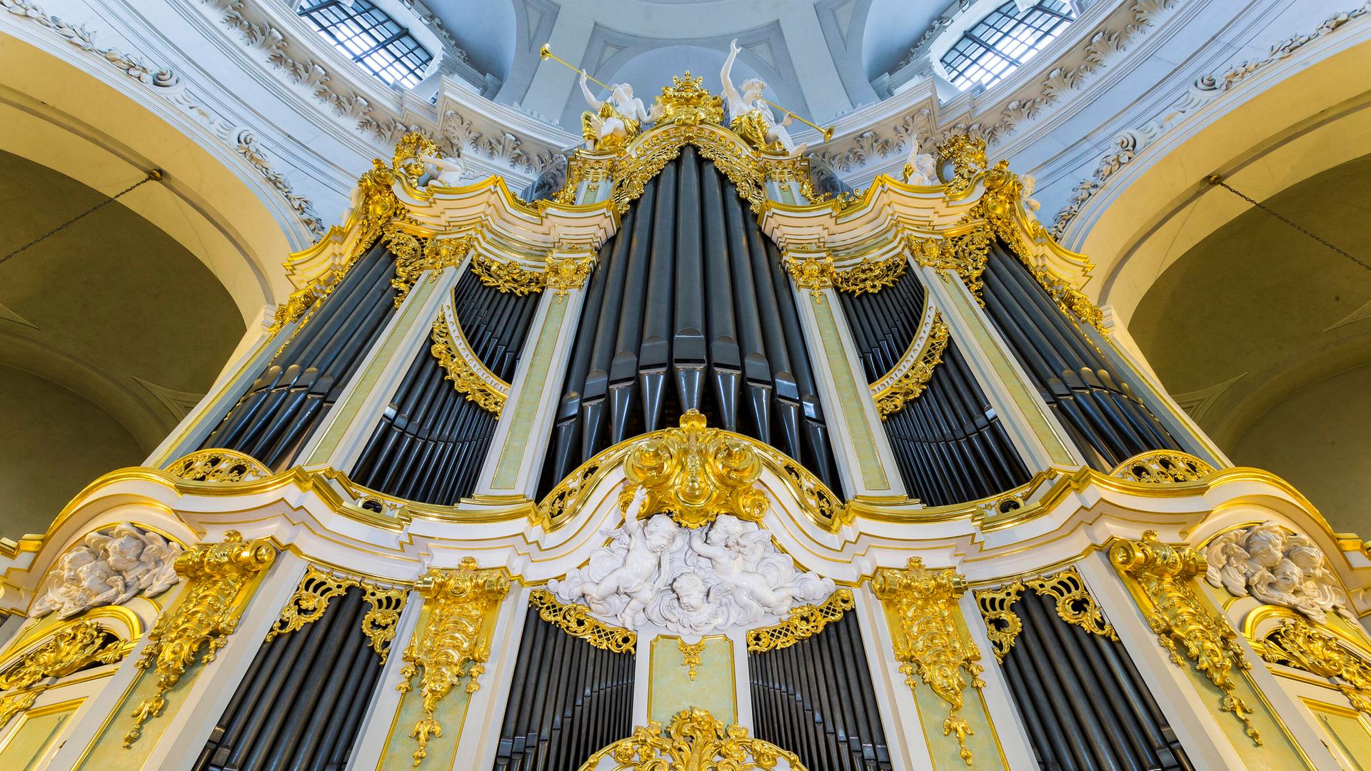 Orgel von Gottfried Silbermann in der Katholischen Hofkirche Dresden.