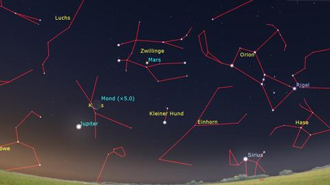 Der Mond wandert jetzt durch die Zwillinge und den Krebs. Er passiert dabei die Planeten Mars und Jupiter. Hier ist der Anblick am 8. September gegen 05.30 Uhr dargestellt. 