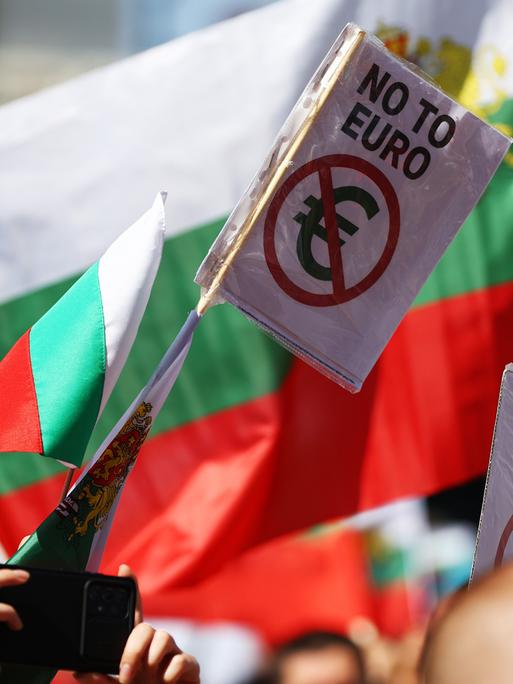 Bei einem Protest gegen den Euro in der bulgarischen Hauptstadt Sofia ist eine bulgarische Flagge zu sehen und ein Schild auf dem "No to Euro" steht.