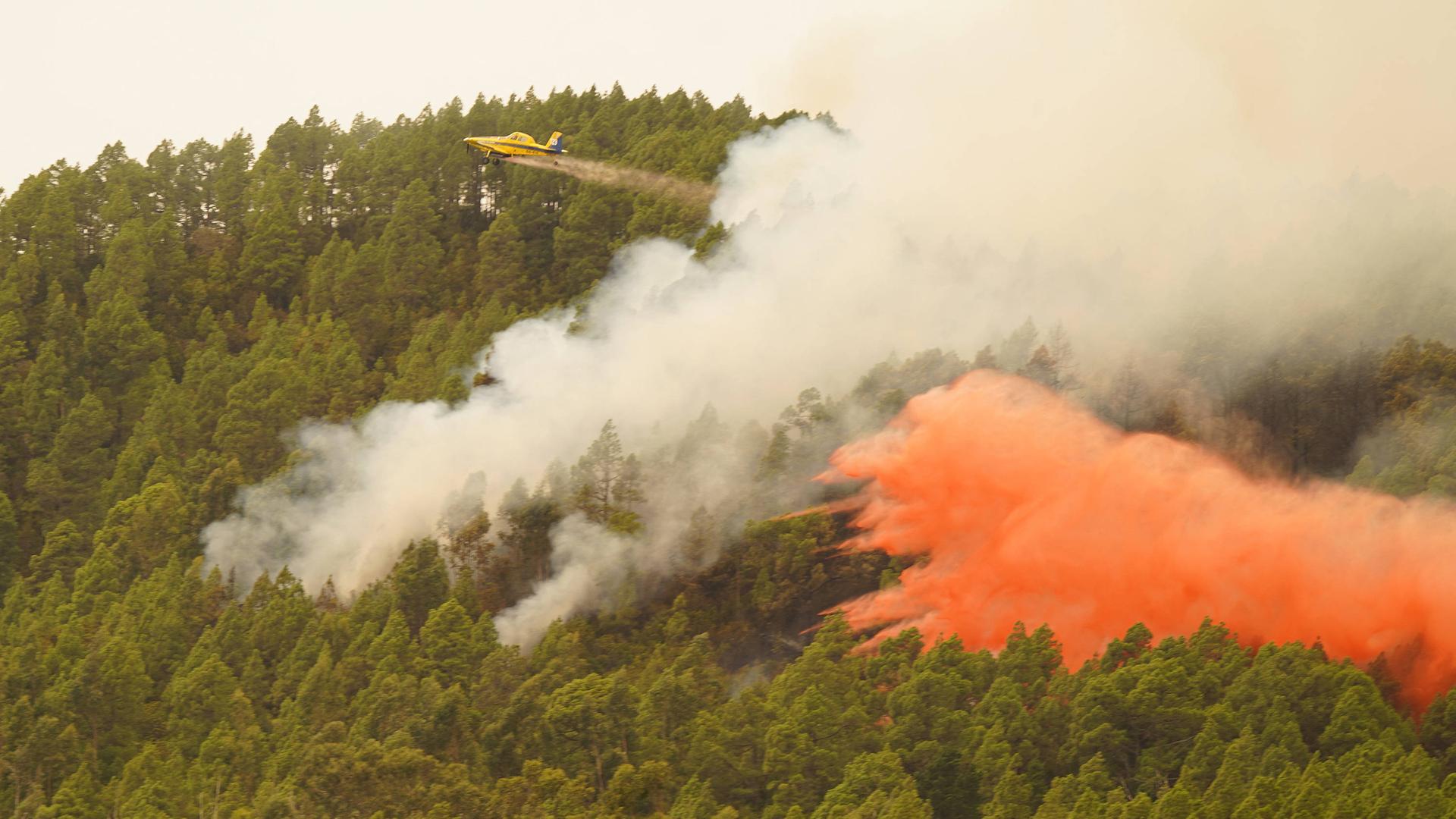 7600 Personen wurden wegen Waldbränden von der Kanareninsel Teneriffa evakuiert. Ein Flugzeug versucht die Brände mit Wasser eiinzudämmen.