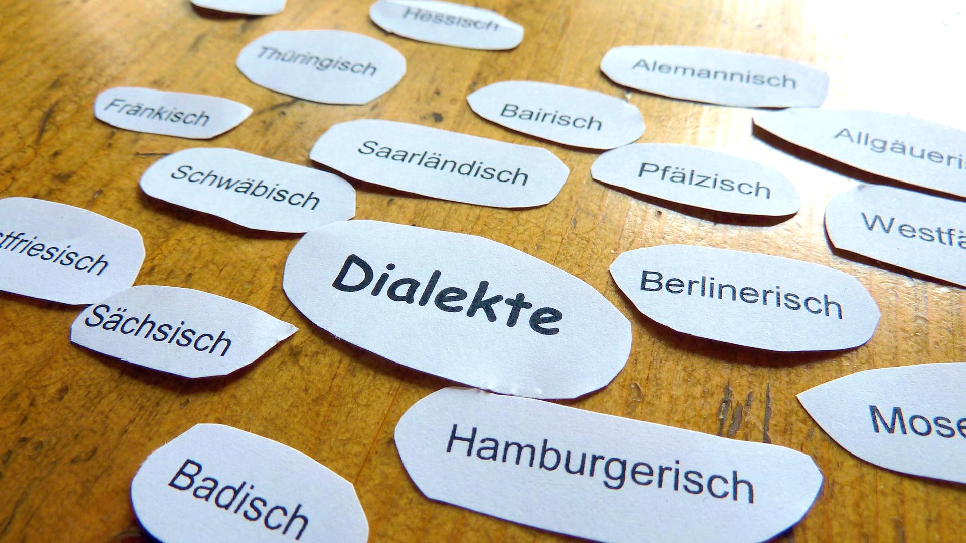 welche-rolle-dialekte-in-der-deutschen-politik-spielen