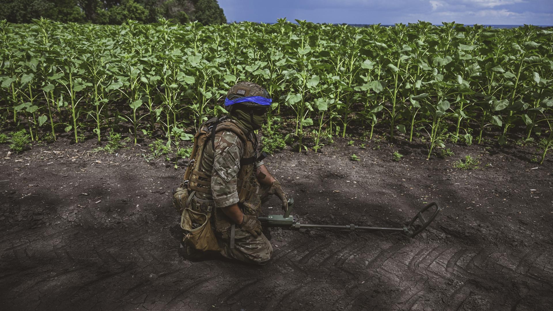 Das Bild zeigt einen knienden ukrainischen Minensucher in Uniform am Rande eines Feldes