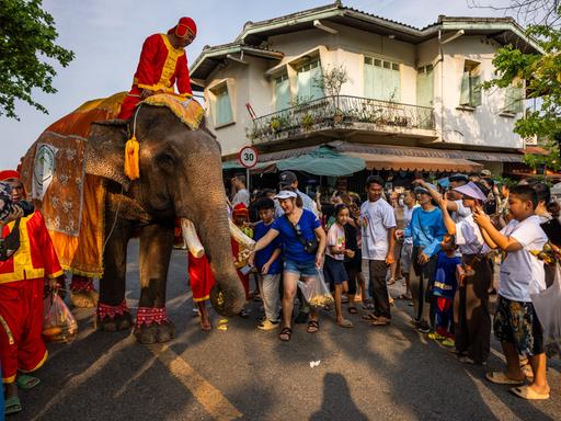 Toruisten, wahrscheinlich aus China, stehen bei einer Elefantenparade neben einem festlich geschmückten Elefanten. Sie machen Fotos. Im Hintergrund sind Häuser der laotischen Stadt Luang Prabang erkennbar.