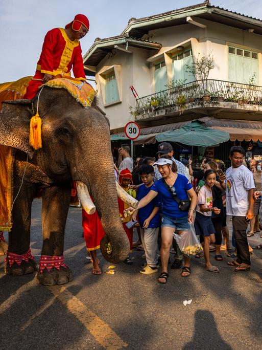 Toruisten, wahrscheinlich aus China, stehen bei einer Elefantenparade neben einem festlich geschmückten Elefanten. Sie machen Fotos. Im Hintergrund sind Häuser der laotischen Stadt Luang Prabang erkennbar.