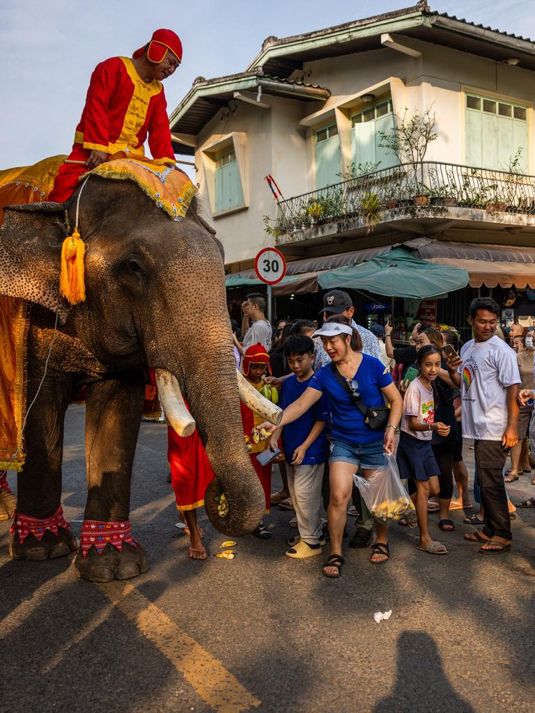 Toruisten, wahrscheinlich aus China, stehen bei einer Elefantenparade neben einem festlich geschmückten Elefanten. Sie machen Fotos. Im Hintergrund sind Häuser der laotischen Stadt Luang Prabang erkennbar.