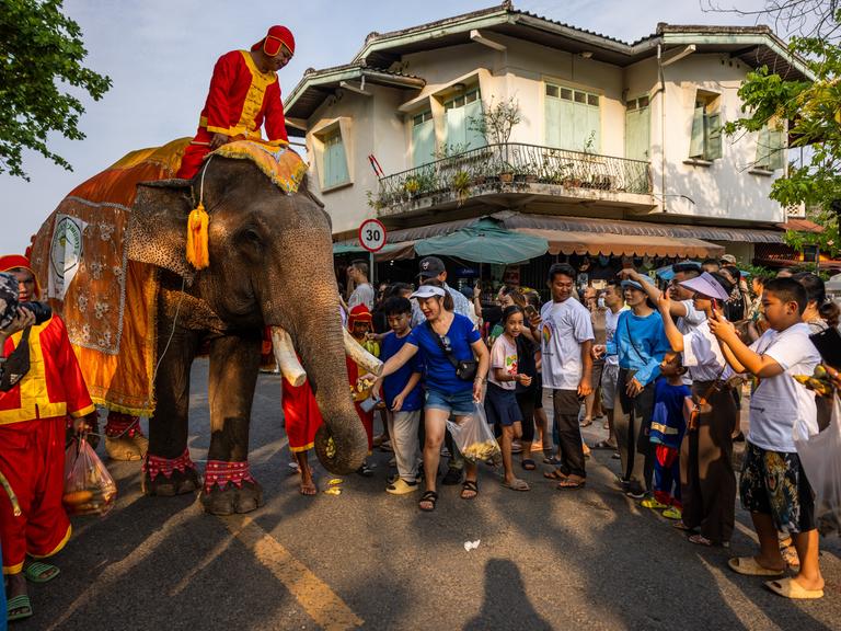 Toruisten, wahrscheinlich aus China, stehen bei einer Elefantenparade neben einem festlich geschmückten Elefanten. Sie machen Fotos. Im Hintergrund sind Häuser der laotischen Stadt Luang Prabang erkennbar.