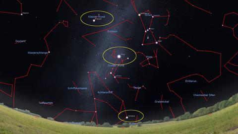 Sternbilder im Himmel. Der Horizont ist dunkelblau, fast schwarz und unten sieht man eine grüne Wiese und Bäume. Die Sternbilder sind durch rote Linien erkennbar. Drei sind gelb umkreist.