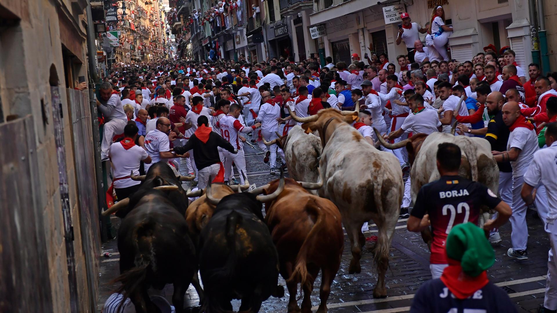 Junge Männer testen in der spanischen Stadt Pamplona ihre Schnelligkeit und ihren Mut, indem sie mit sechs Kampfstieren durch die Straßen der Altstadt rennen.