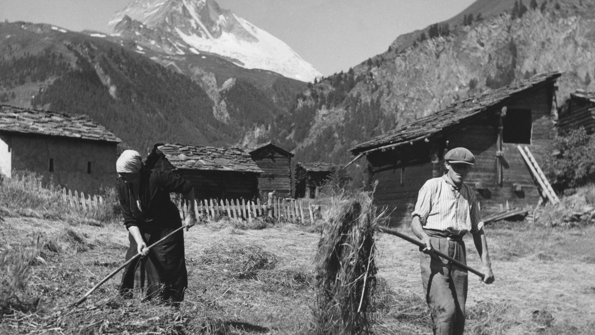 Mann und Frau bei der Heuernte in den Schweizer Bergen, im Hintergrund ist das Matterhorn zu sehen, ca. 1930.