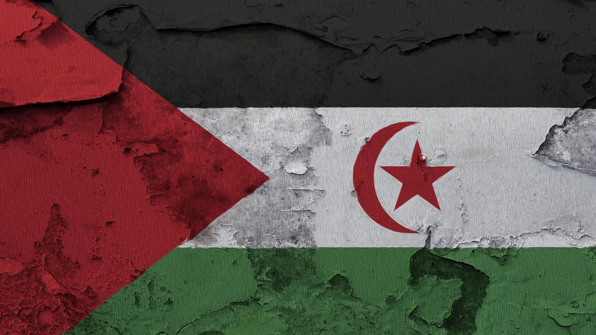 Die Flagge der Westsahara ist auf die rissige Betonwand gemalt