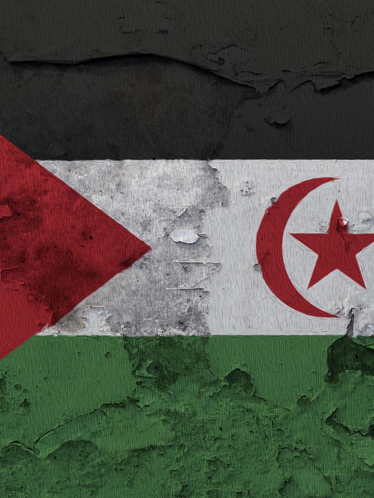 Die Flagge der Westsahara ist auf die rissige Betonwand gemalt
