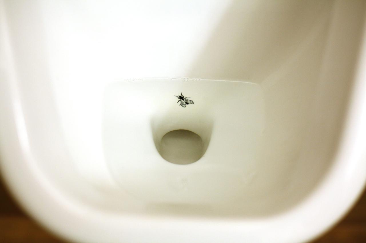 Eine aufgeklebte Fliege in einem Urinal auf einer Toilette.