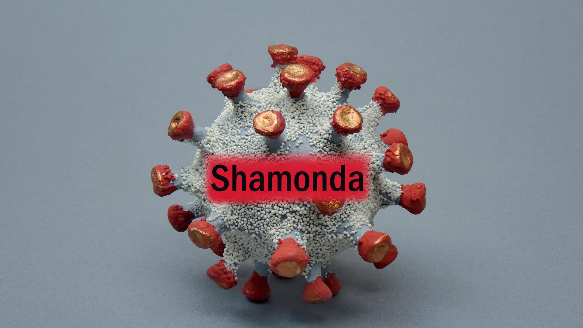 In einem Virusmodell befindet sich der Schriftzug Shamonda. In einem Virusmodell befindet sich der Schriftzug Shamonda.