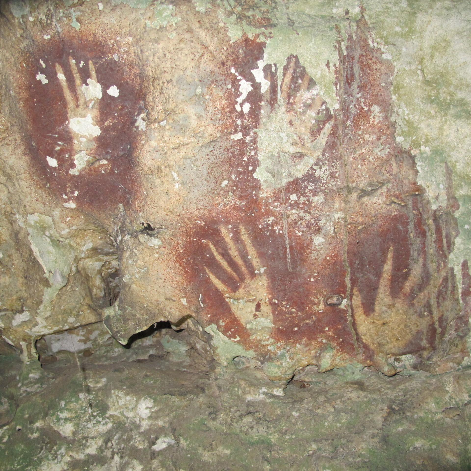 Frühe Kunst: Älteste bekannte Höhlenmalerei entdeckt