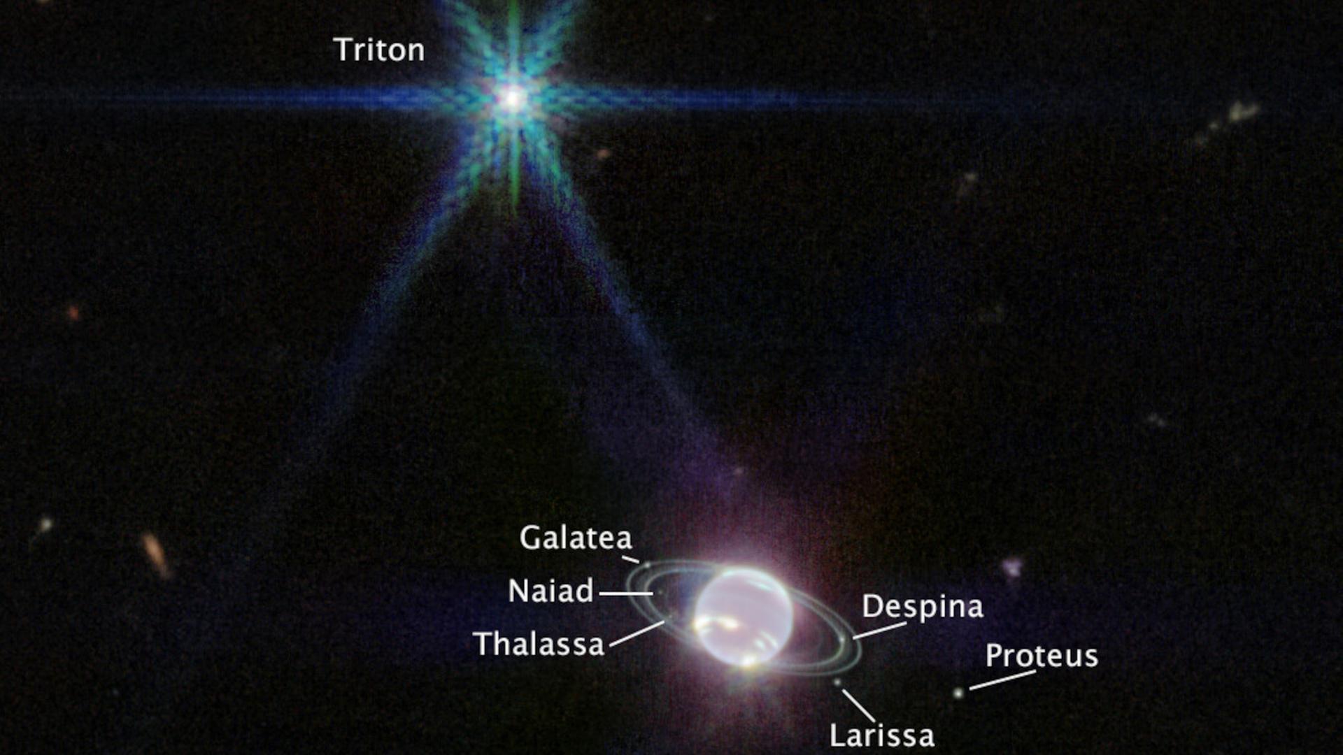 Der Gasriese Neptun mit Ringen und einigen Monden, beobachtet vom James-Webb-Weltraumteleskop