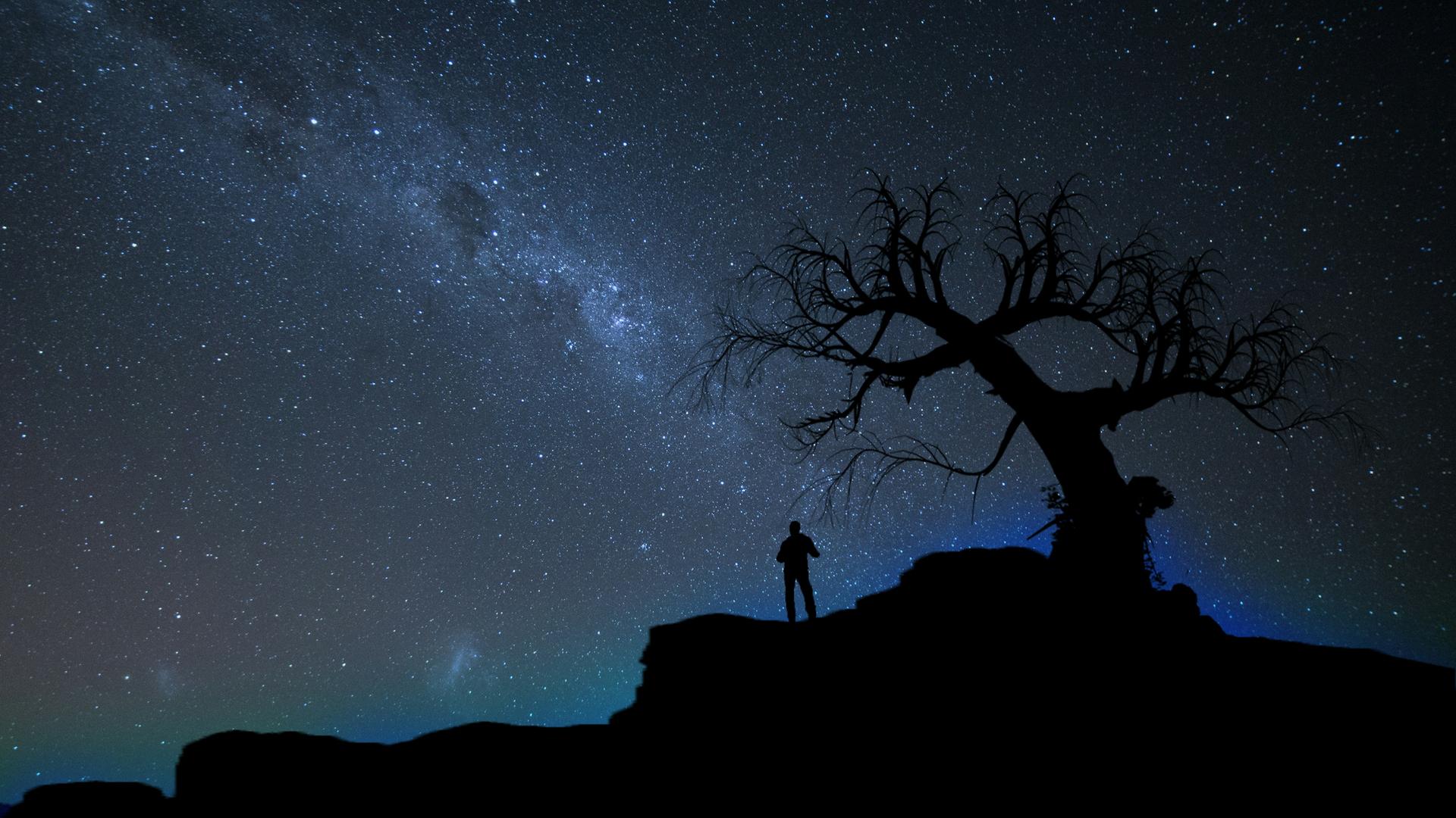 Blick auf einen Nachthimmel voller Sterne, vor dem sich ein alter Baum und ein daneben stehender Mensch abzeichnen.