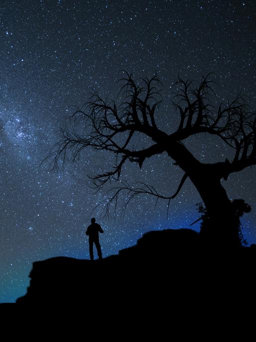 Blick auf einen Nachthimmel voller Sterne, vor dem sich ein alter Baum und ein daneben stehender Mensch abzeichnen.