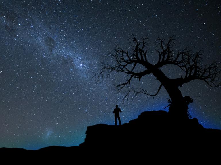 Blick auf einen Nachthimmel voller Sterne, vor dem sich ein alter Baum und ein daneben stehender Mensch abzeichnen.