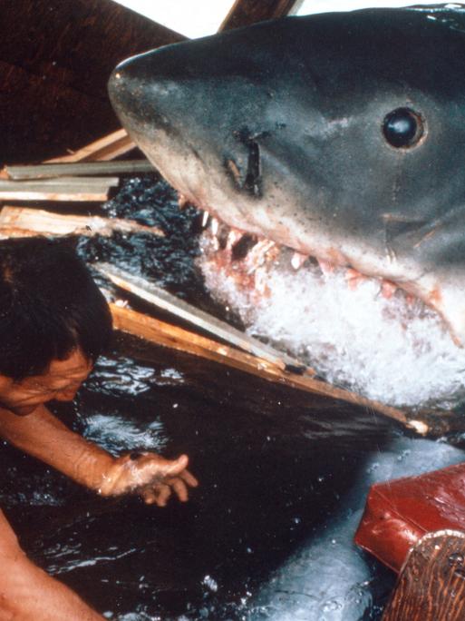 Das Bild zeigt die Dreharbeiten zu "Der weiße Hai" mit einem mechanischen Hai im Wasser und einem Mitarbeiter