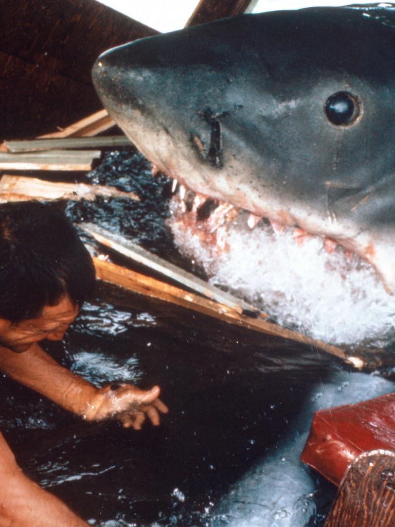 Das Bild zeigt die Dreharbeiten zu "Der weiße Hai" mit einem mechanischen Hai im Wasser und einem Mitarbeiter
