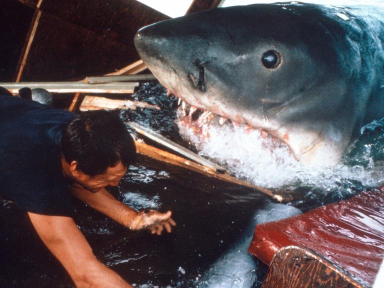 Das Bild zeigt die Dreharbeiten zu "Der weiße Hai" mit einem mechanischen Hai im Wasser und einem Mitarbeiter