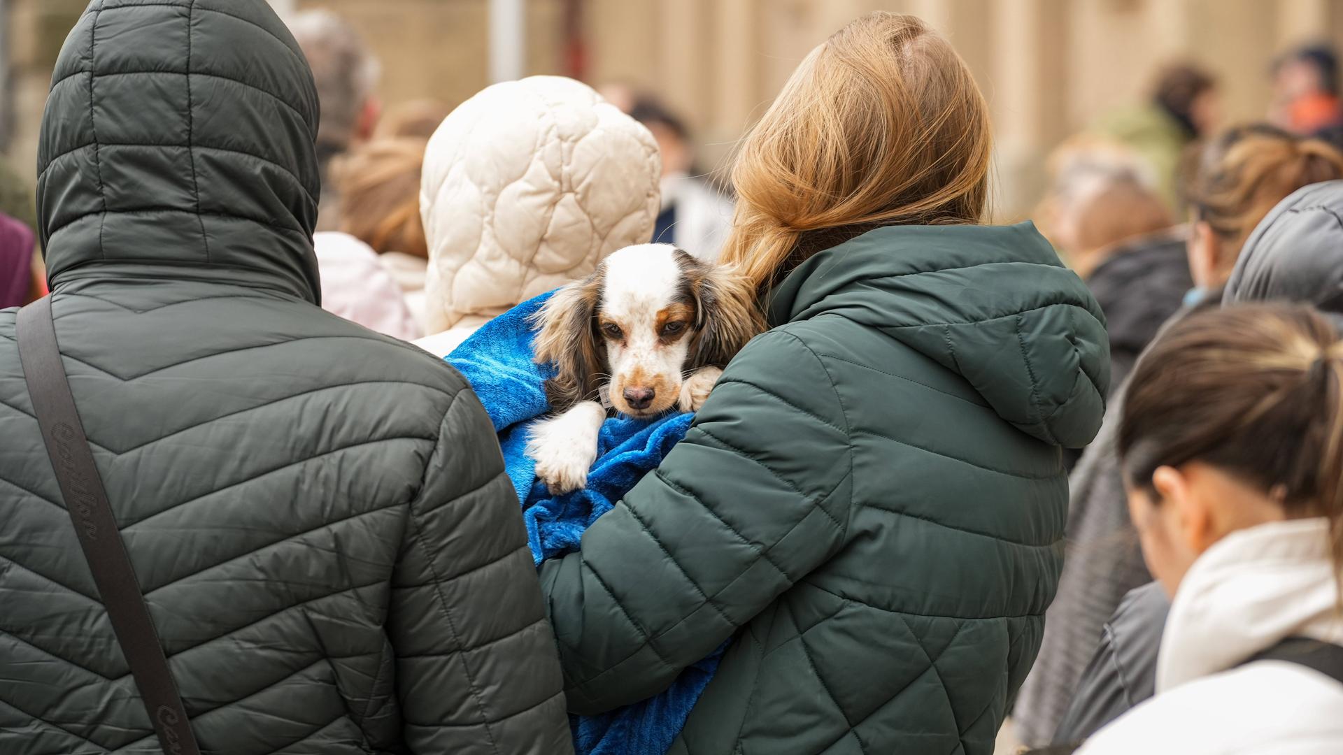 Ukrainische Flüchtlinge warten vorm Rathaus in Charlottenburg in einer langen Schlange. Eine Frau trägt einen Hund auf dem Arm.