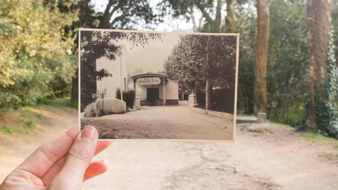Ein Abgleich mit der Vergangenheit: Eine Hand hält auf einem Weg mit Bäumen ein Schwarz-Weiß-Foto eines ehemaligen Gebädues hoch - aufgenommen exakt an diesem Schauplatz.