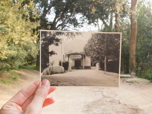 Ein Abgleich mit der Vergangenheit: Eine Hand hält auf einem Weg mit Bäumen ein Schwarz-Weiß-Foto eines ehemaligen Gebädues hoch - aufgenommen exakt an diesem Schauplatz.