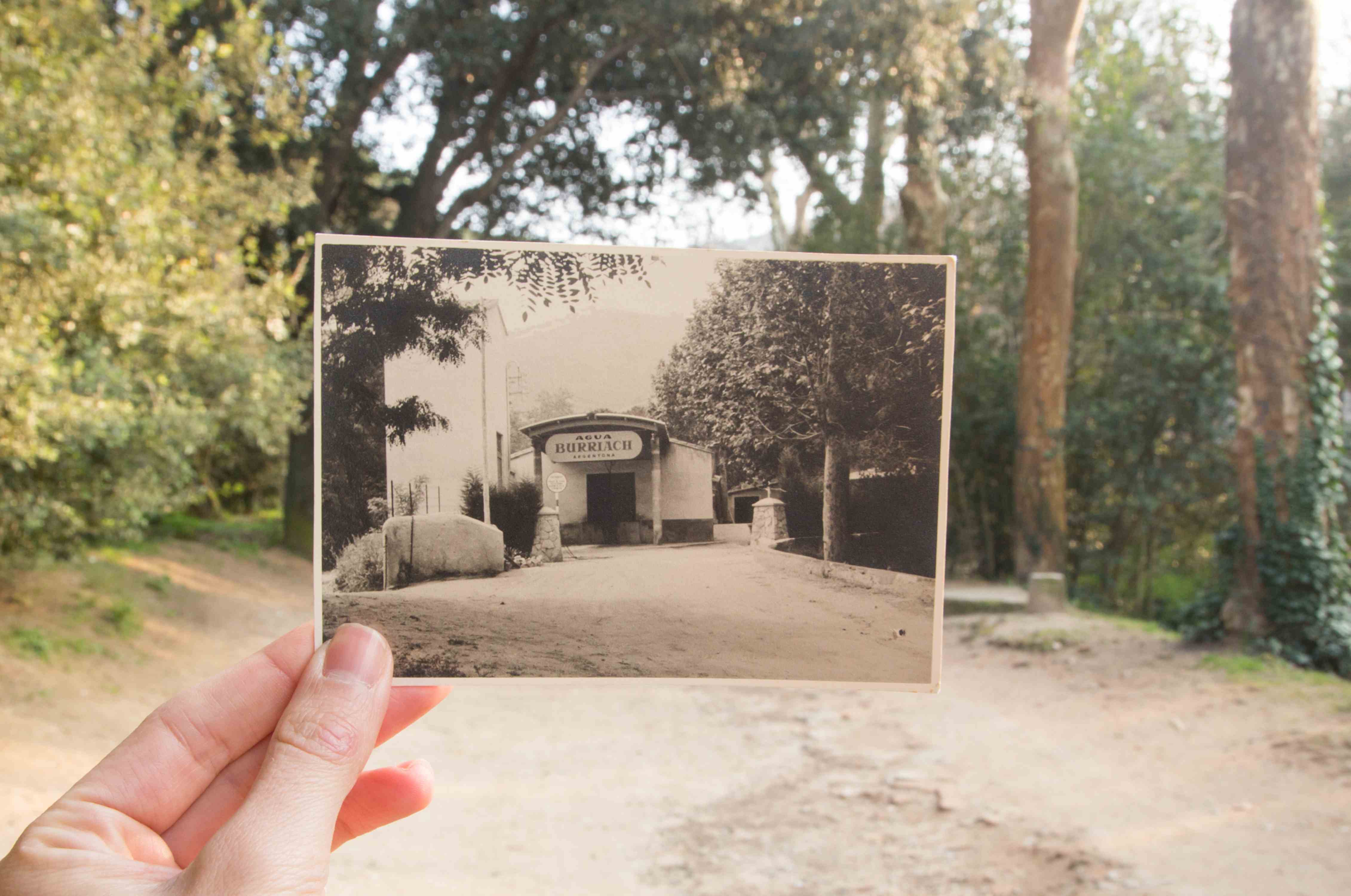 Ein Abgleich mit der Vergangenheit: Eine Hand hält auf einem Weg mit Bäumen ein Schwarz-Weiß-Foto eines ehemaligen Gebädues hoch - aufgenommen exakt an diesem Schauplatz.