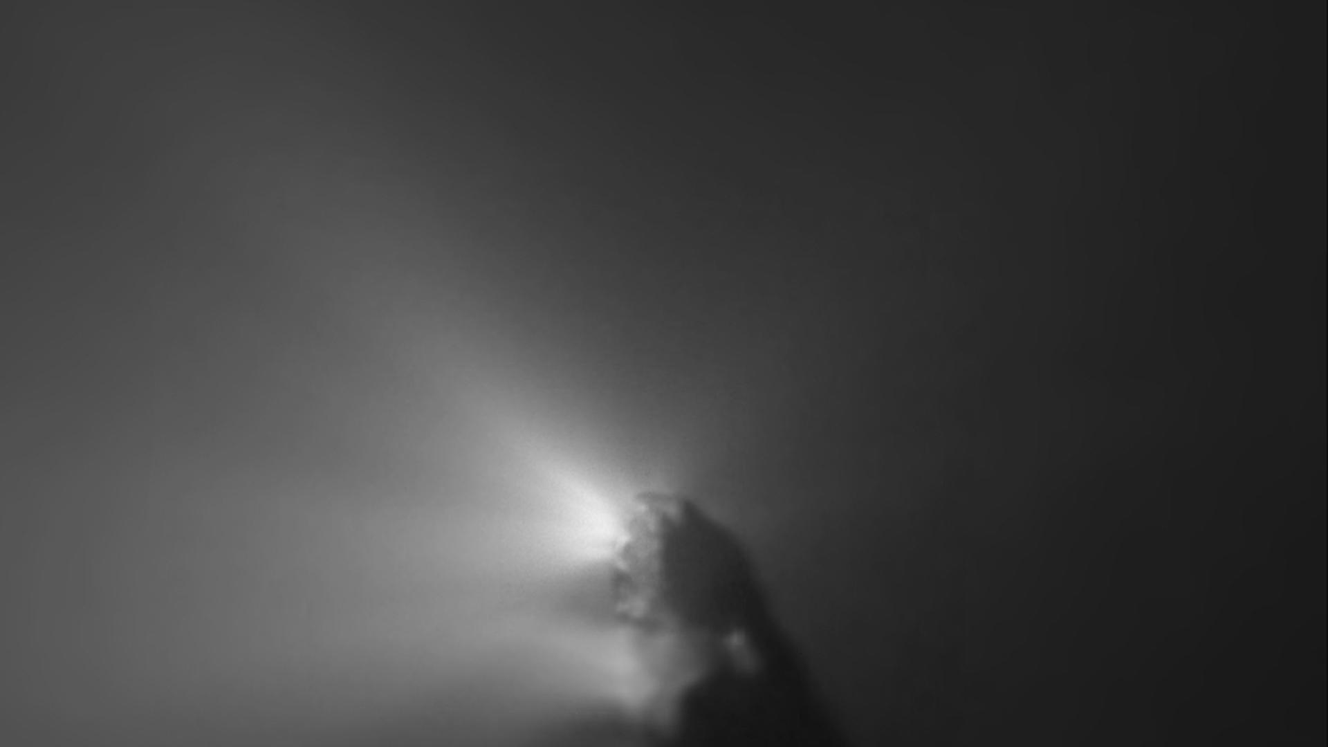 Komet Halley, hier aufgenommen von der Raumsonde Giotto 1986, ist 2061 wieder am Himmel zu sehen.