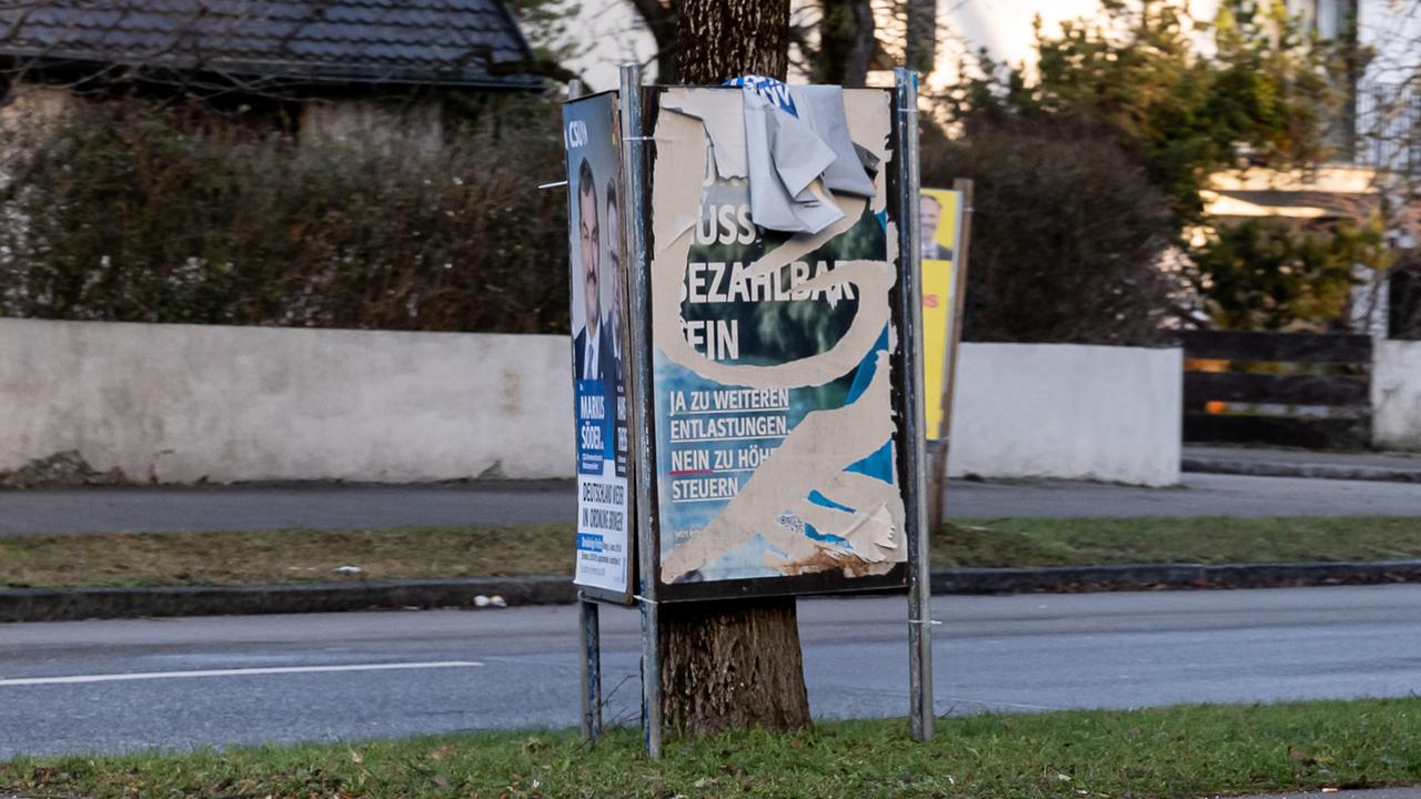 Zerstörte Wahlkampfplakate sind an einem Baumstamm angebracht.